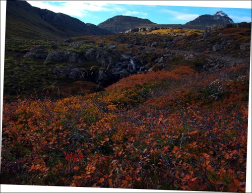 Bunter Herbst oberhalb Viðfjörður