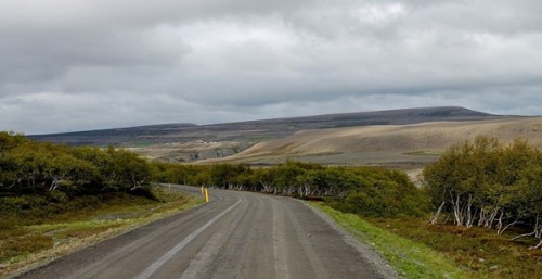 Aussicht mit Bäumen