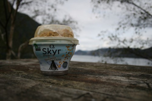 Skyr.jpg