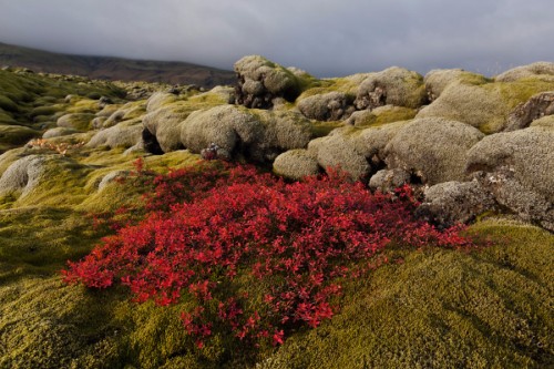 Indian Summer in Island