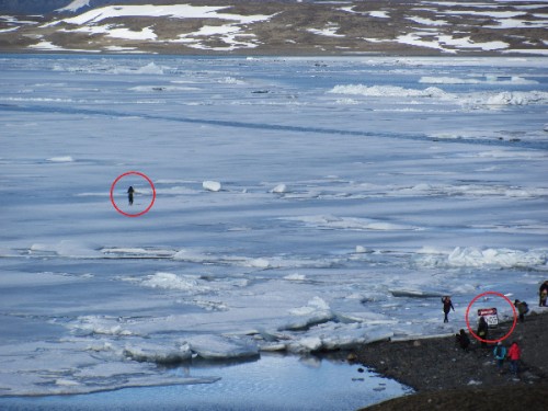 Jökulsárlón, 28.03.16