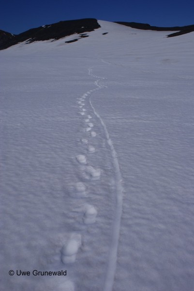 Snaefellsjökull_2.JPG