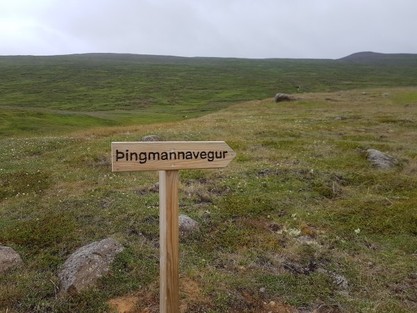 Þingmannavegur