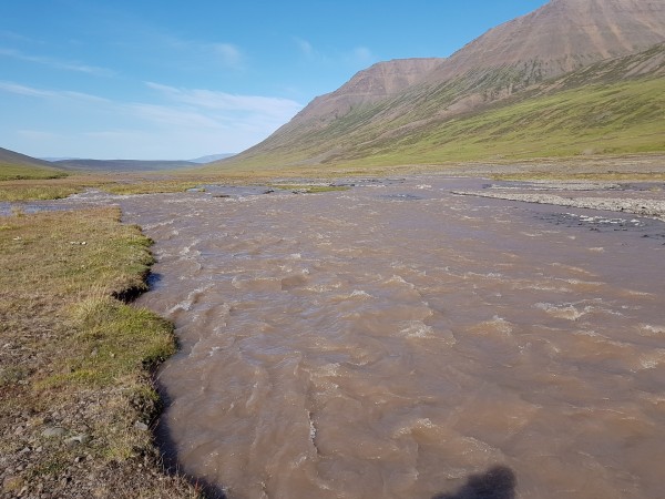 letzter Flussarm, hinten links der 5 Meter breite Kanal