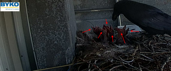 Screenshot (612).png